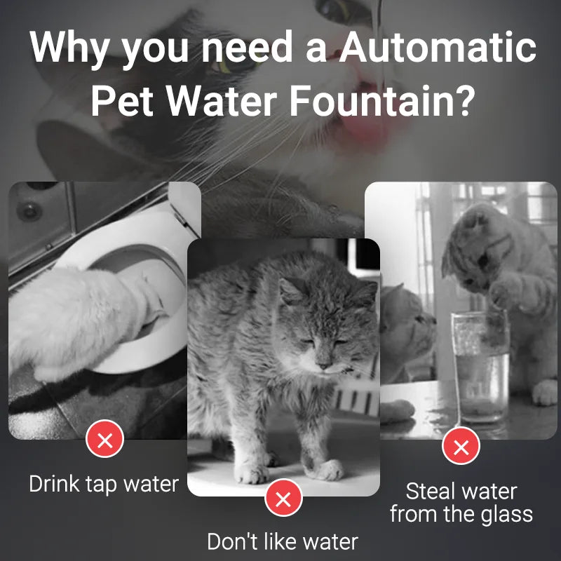 Smart Cat Water Fountain Automatic Pet Water Dispenser for Cats Dog Drinking Purifier Fountain with Recirculate Filters